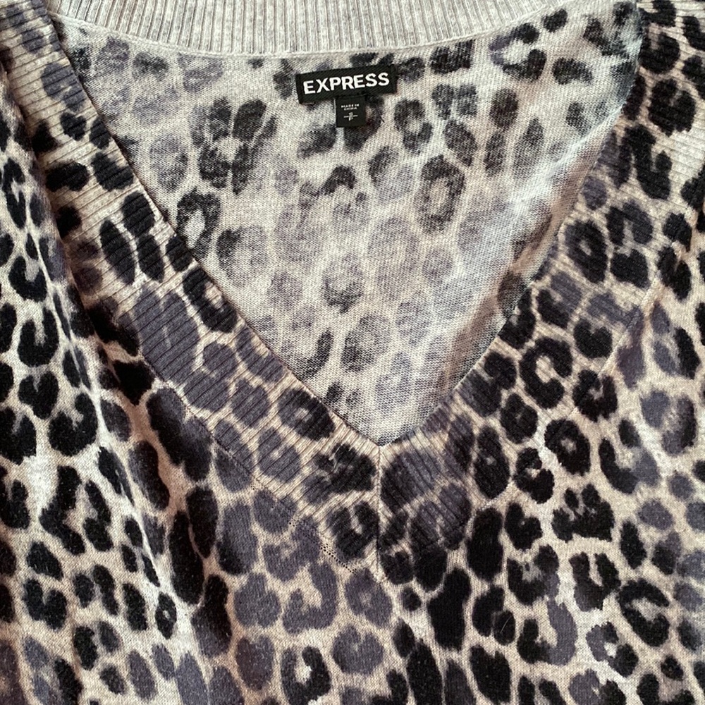 Express light weight sweater